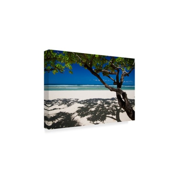 Istv�n Nagy 'Shadows On The Beach' Canvas Art,16x24